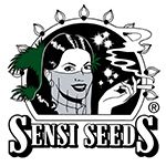 Semena konoplje Big Bud