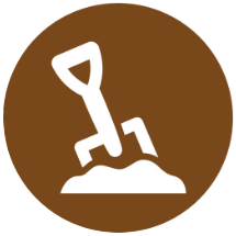 Semena konoplje Critical Kush