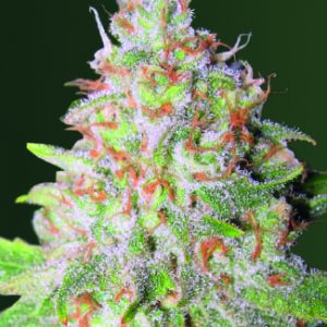 Auto Green Wild Shark