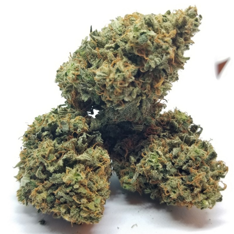 Vrste marihuane - Mataro Blue