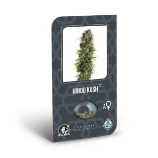 Vrste marihuane Hindu Kush