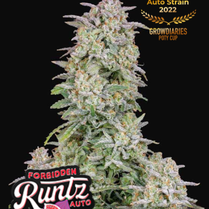 forbidden-runtz-auto