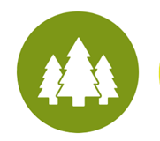 pine-logo